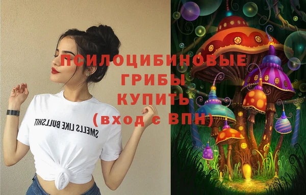 твердый Алексеевка