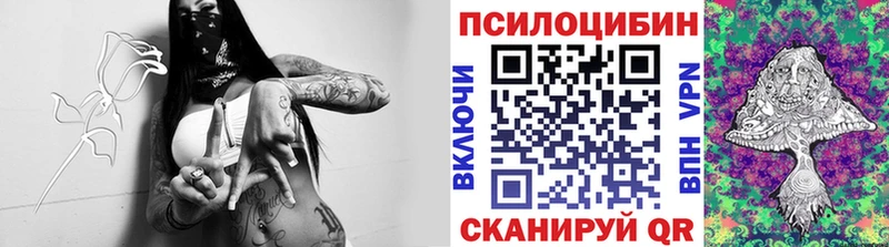 Псилоцибиновые грибы прущие грибы  сайты даркнета наркотические препараты  Нарьян-Мар 